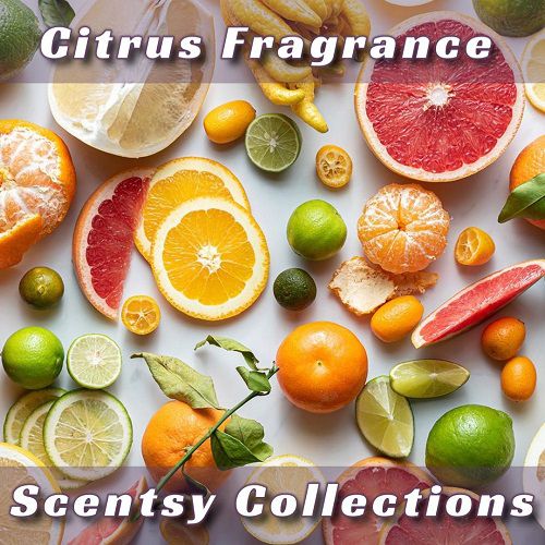 Citrus Fragrance Scentsy Collections