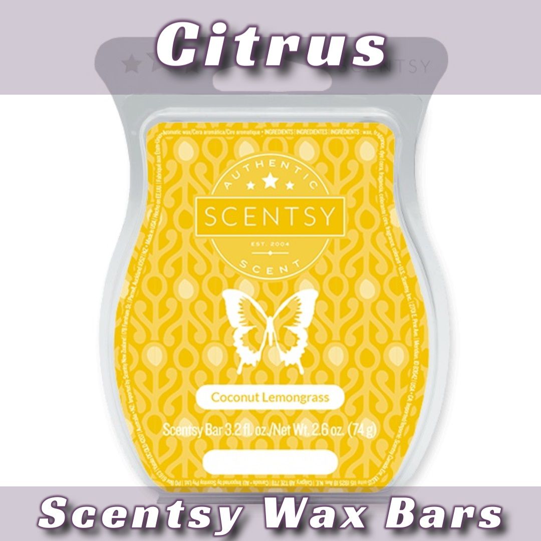 Citrus Scentsy Bars