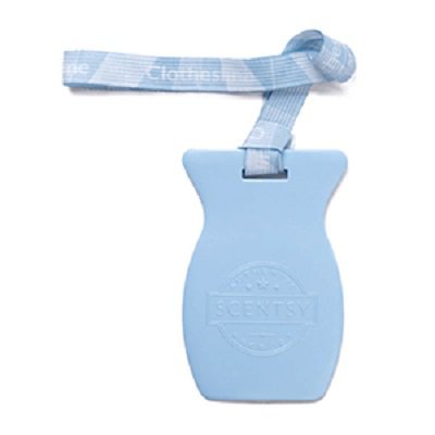 Clothesline Scentsy Car Bar