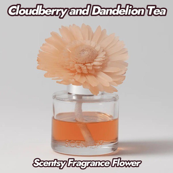 Cloudberry and Dandelion Tea Scentsy Fragrance Flower