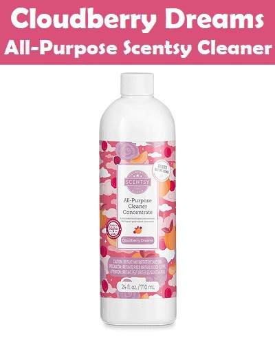 Cloudberry Dreams All-Purpose Scentsy Cleaner