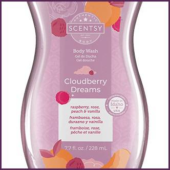 Cloudberry Dreams Scentsy Body Wash Center Cloudberry Dreams Scentsy Body Wash Center