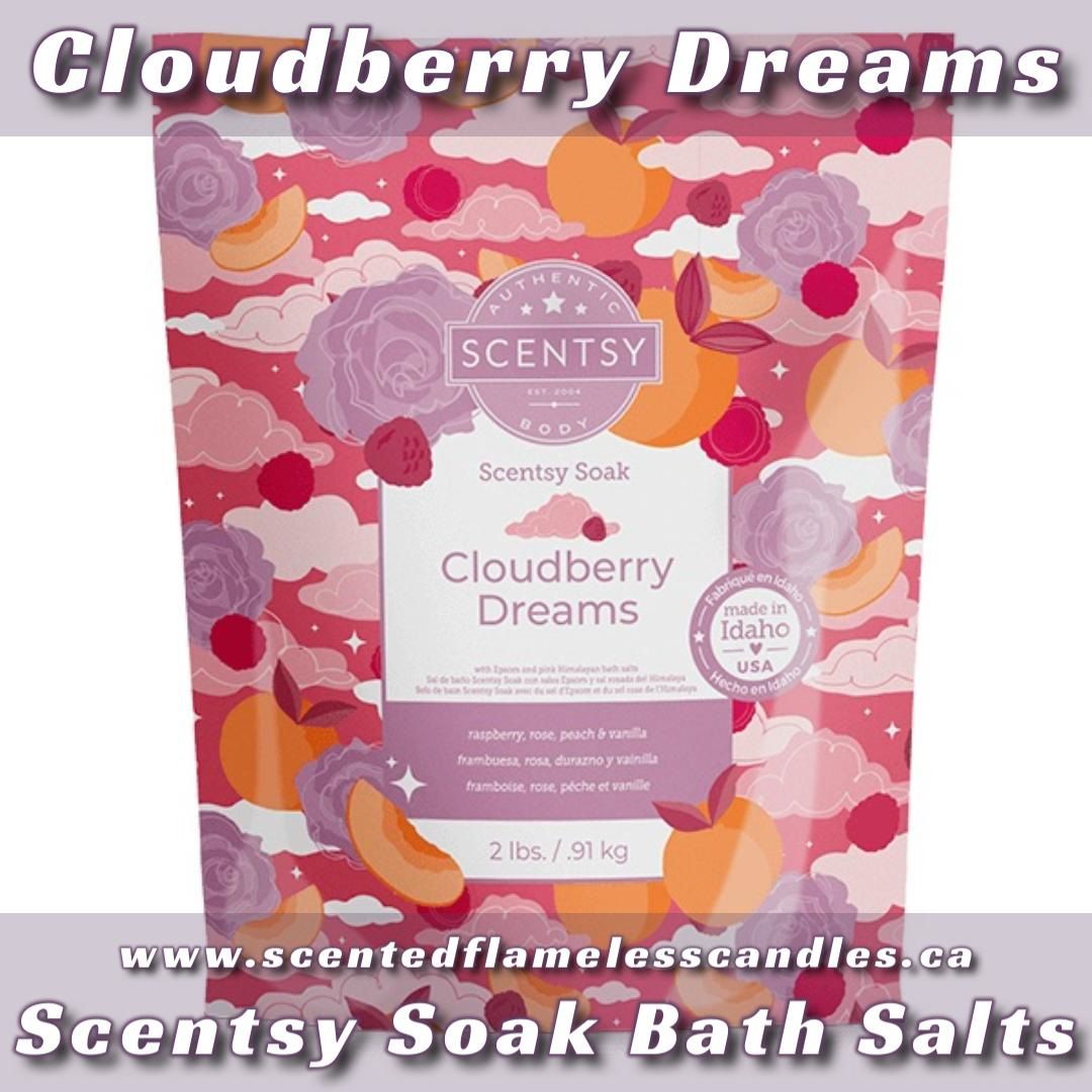 Cloudberry Dreams Scentsy Soak Bath Salts