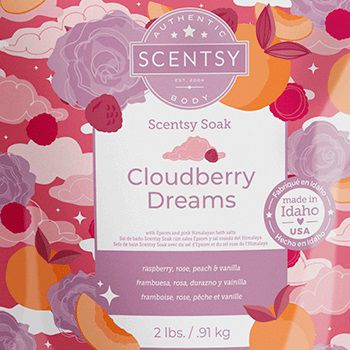 Cloudberry Dreams Scentsy Bath Salts
