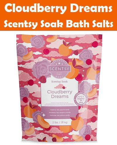 Cloudberry Dreams Scentsy Soak Bath Salts