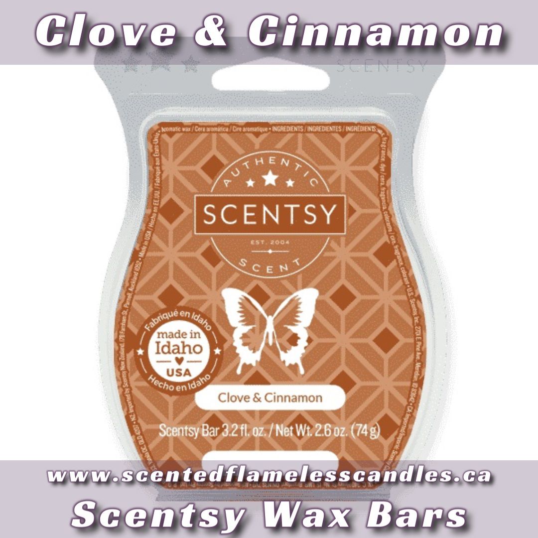 Clove and Cinnamon Scentsy Bar