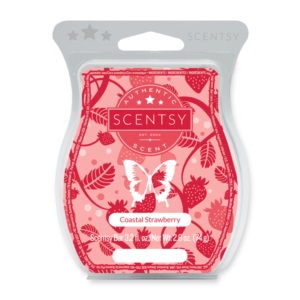 Coastal Strawberry Scentsy Bar