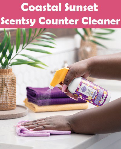 Coastal Sunset Scentsy Counter Cleaner