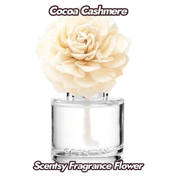Cocoa Cashmere Scentsy Fragrance Flower Cocoa Cashmere Scentsy Fragrance Flower