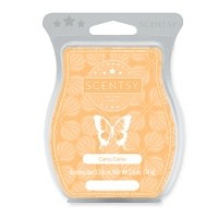 Cocunut Flan Wax Bar