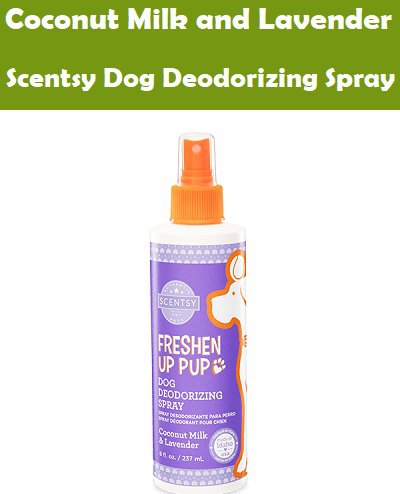 Coconut Milk and Lavender Scentsy Dog Deodorizing Spray