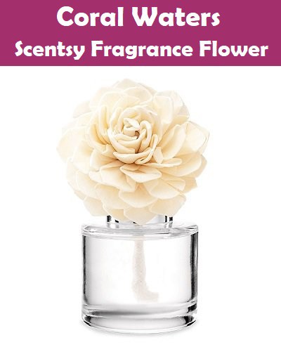 Coral Waters Scentsy Fragrance Flower