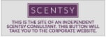 Corporate Scentsy Website