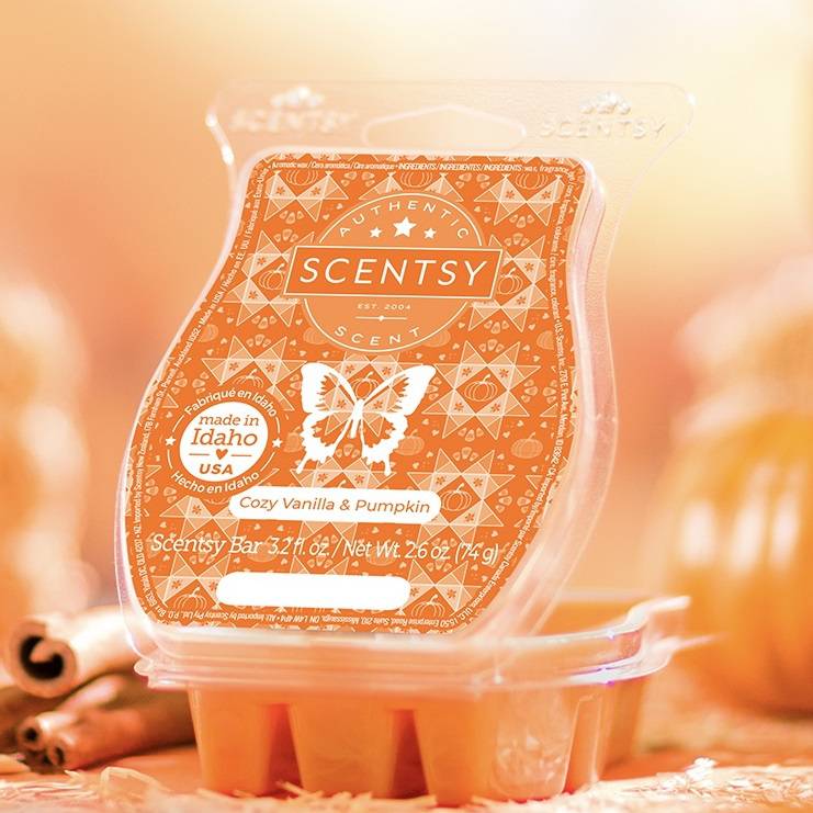 Cozy Vanilla and Pumpkin Scentsy Bar Closeup