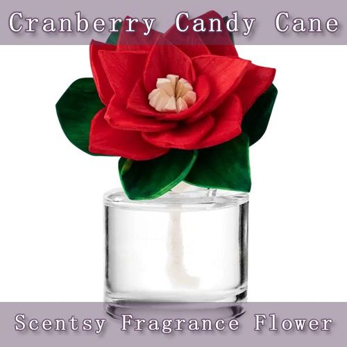 Cranberry Candy Cane Scentsy Fragrance Flower