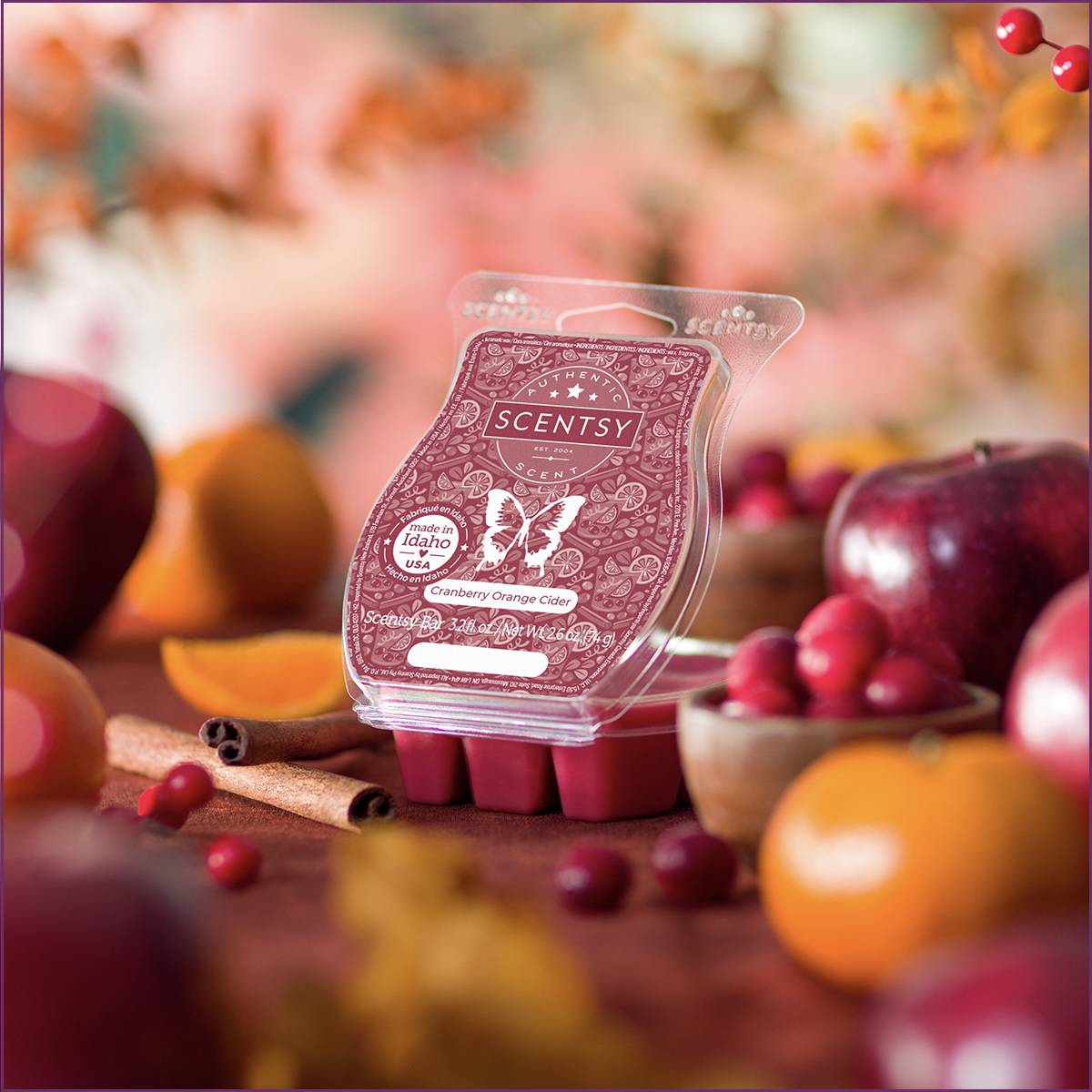 Cranberry Orange Cider Scentsy Bar | Staged