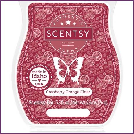 Cranberry Orange Cider Scentsy Bar | Stock Closeup