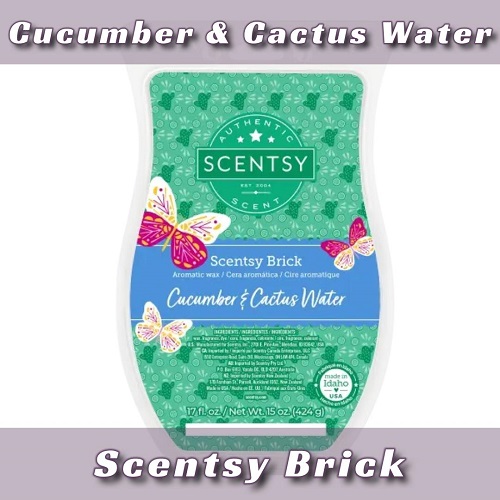 Cucumber and Cactus Water Scentsy Brick