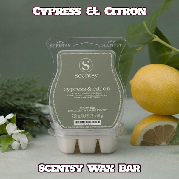 Cypress & Citron Scentsy Bar Cypress & Citron Scentsy Bar