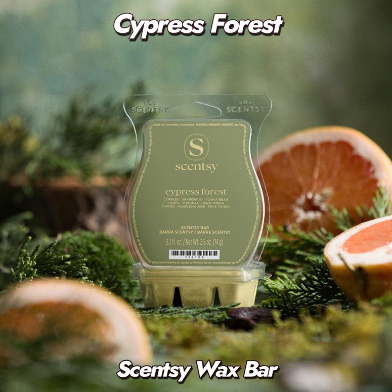 Cypress Forest Scentsy Bar Cypress Forest Scentsy Bar