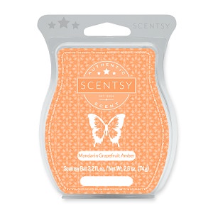 Dewy or Don't We Scentsy Bar Dewy or Don't We Scentsy Bar