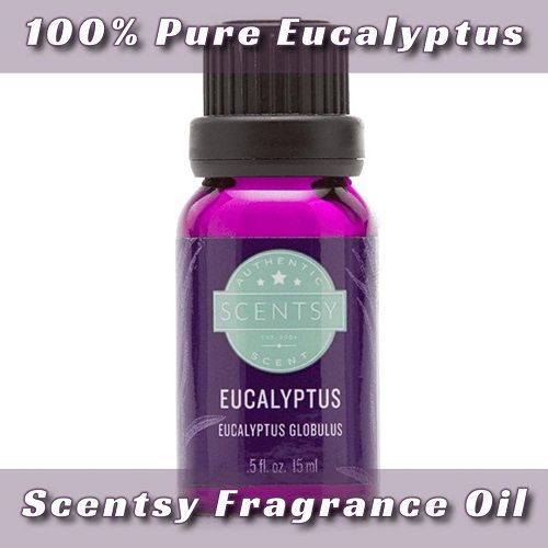 Eucalyptus 100% Pure Essential Scentsy Oil