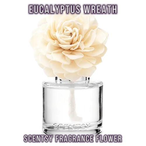 Eucalyptus Wreath Scentsy Fragrance Flower