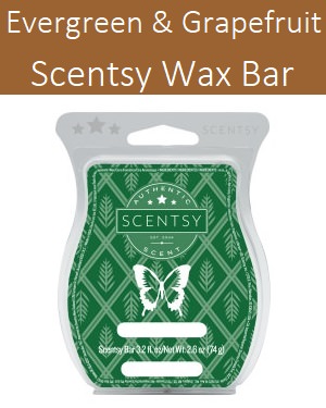 Evergreen and Grapefruit Scentsy Bar