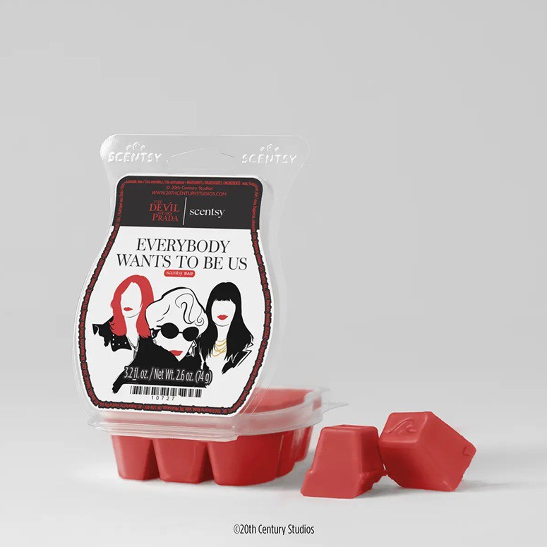 Everybody Wants to be Us Scentsy Bar