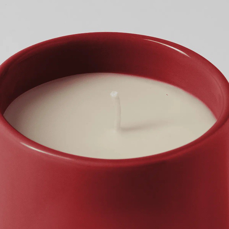 Everybody Wants to Be Us Scentsy Scented Candle Top