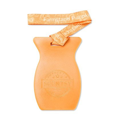 Farmstand Pumpkin Scentsy Car Bar