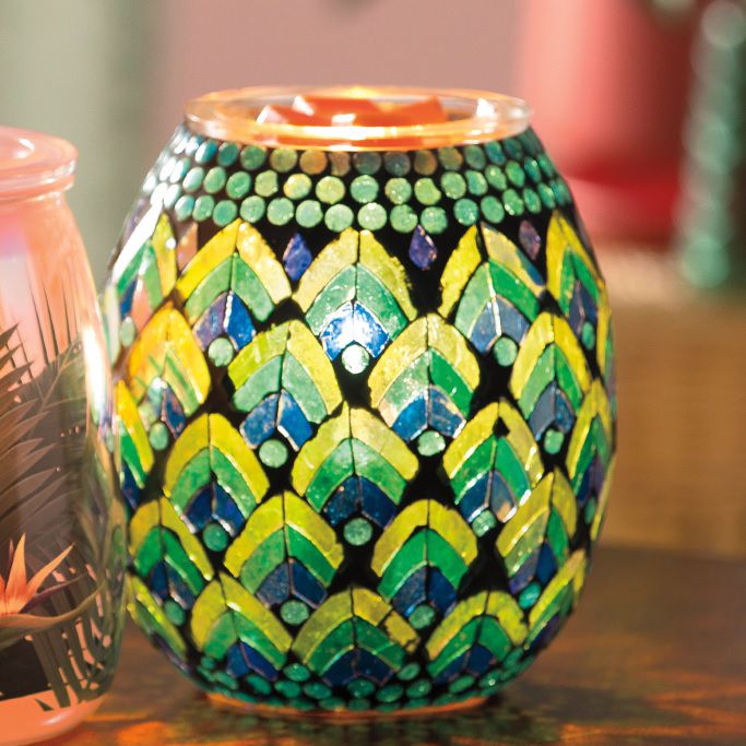 Flaunt Your Feathers Scentsy Warmer On Front