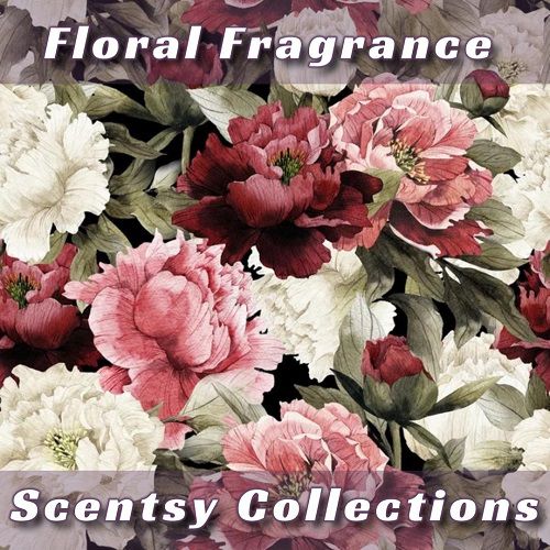 Floral Fragrance Scentsy Collections