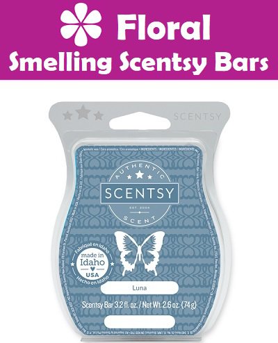 Floral Scentsy Bars