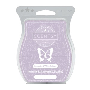 Flower Child Scentsy Bar