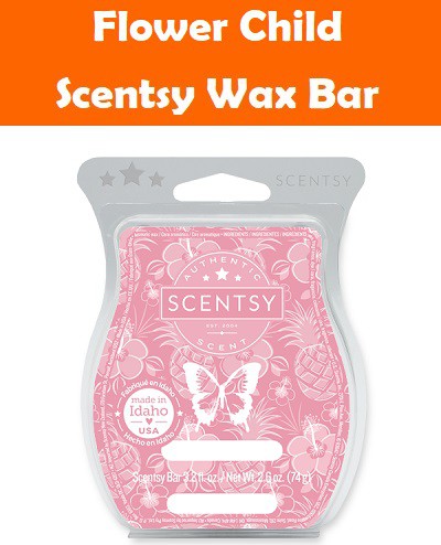 Flower Child Scentsy Bar