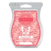 Flower Child Scentsy Bar