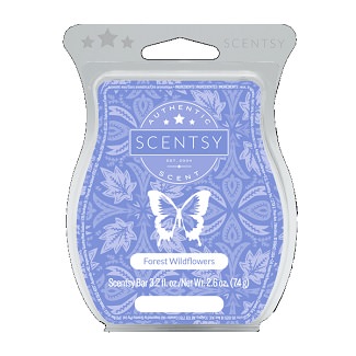 Forest Wildflowers Scentsy Bar