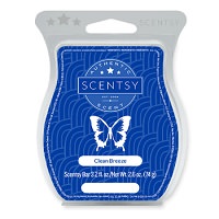 Forest Wildflowers Scentsy Bar