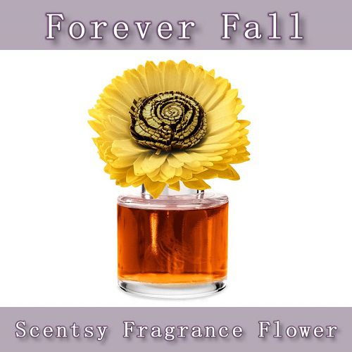 Forever Fall Scentsy Sunflower Fragrance Flower