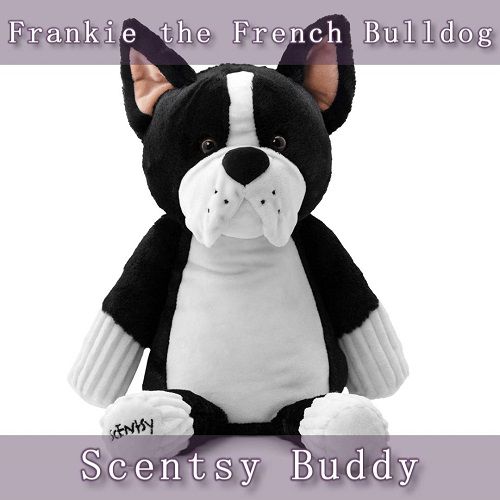 Frankie the French Bulldog Scentsy Buddy | Front