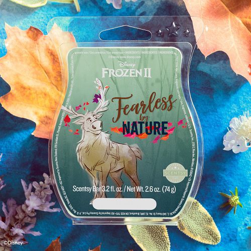 Frozen Fearless by Nature Scentsy Bar