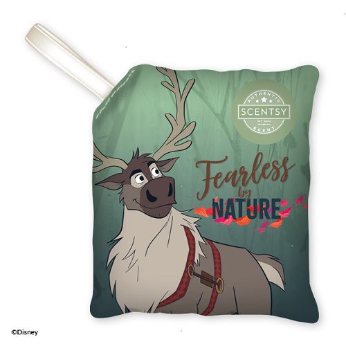 Frozen Fearless by Nature Scentsy Scent Pak