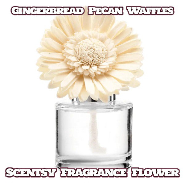 Gingerbread Pecan Waffles Scentsy Fragrance Flower