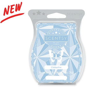Glacial Ice Scentsy Bar