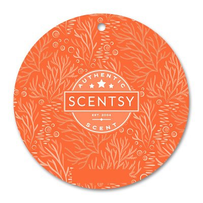 Harvest Blessings Scentsy Scent Circle