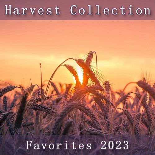 Harvest Collection Favorites 2023