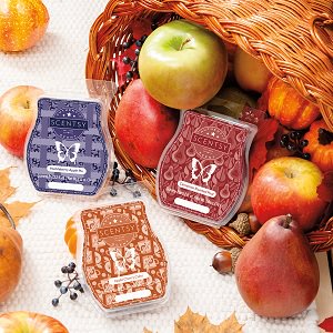 Harvest Delight Scentsy bars 3 Pack