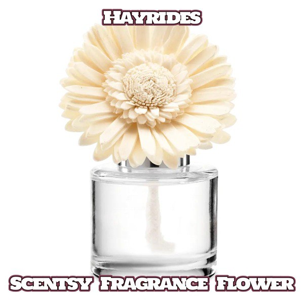 Hayrides Scentsy Fragrance Flower