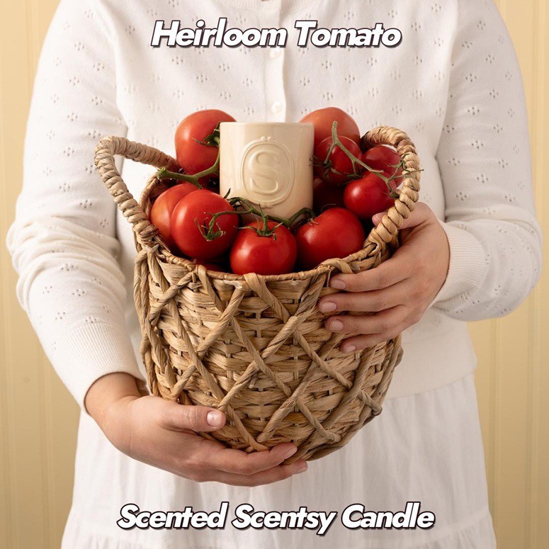 Heirloom Tomato Scented Scentsy Candle Stylized